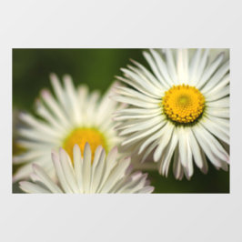 Raamfolie - Madeliefjes Bloemen Fotografisch Raamsticker