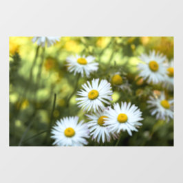 Raamfolie - Madeliefjes Bloemenfotografie Raamsticker