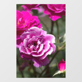 Raamfolie - Mooie Rozen Fotografie Raamsticker