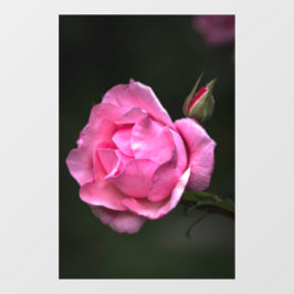 Raamfolie - Roos Bloem Natuurfotografie Raamsticker