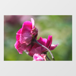 Raamfolie - Roos - Magenta Grace Raamsticker