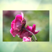 Raamfolie - Roos - Magenta Grace Raamsticker (Vel 3)