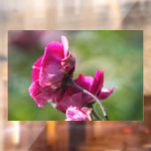 Raamfolie - Roos - Magenta Grace Raamsticker (Vel 2)
