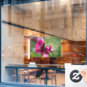 Raamfolie - Roos - Magenta Grace Raamsticker (Cafe Raam)