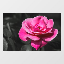 Raamfolie - Roze Roos Elegantie Raamsticker
