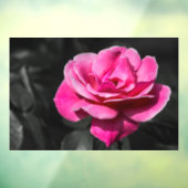 Raamfolie - Roze Roos Elegantie Raamsticker (Vel 3)