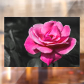 Raamfolie - Roze Roos Elegantie Raamsticker (Vel 2)