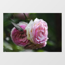 Raamfolie - Roze Rozen - Blushing Duet Raamsticker