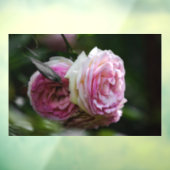 Raamfolie - Roze Rozen - Blushing Duet Raamsticker (Vel 3)