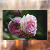 Raamfolie - Roze Rozen - Blushing Duet Raamsticker (Vel 2)
