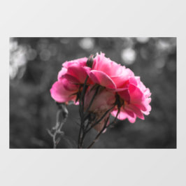 Raamfolie - Roze Rozen Elegantie Raamsticker