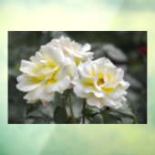 Raamfolie - Wit Rozen Fotografie Raamsticker (Vel 3)