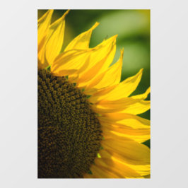 Raamfolie - Zonnebloem Bloem Natuurfotografie Raamsticker