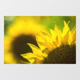 Raamfolie - Zonnebloem Bloem Natuurfotografie Raamsticker