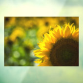 Raamfolie - Zonnebloem Elegantie Raamsticker (Vel 3)