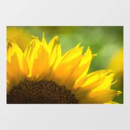 Raamfolie - Zonnebloem Fotografie Raamsticker