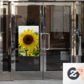 Raamfolie - Zonnebloem Geïsoleerd Raamsticker (Kantoordeur)