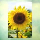 Raamfolie - Zonnebloem Geïsoleerd Raamsticker (Vel 3)