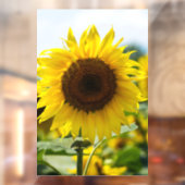 Raamfolie - Zonnebloem Geïsoleerd Raamsticker (Vel 2)