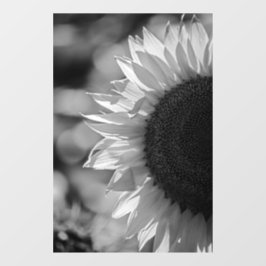 Raamfolie - Zonnebloem In Het Veld BW Raamsticker