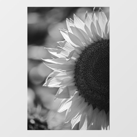 Raamfolie - Zonnebloem In Het Veld BW Raamsticker (Vel)