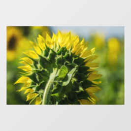Raamfolie - Zonnebloem Omgekeerd Perspectief Raamsticker
