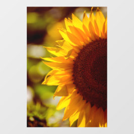Raamfolie - Zonnebloem Op Het Veld Fotografie Raamsticker