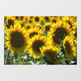 Raamfolie - Zonnebloemen Veld Fotografie Raamsticker