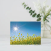 raapveld briefkaart (Staand voorkant)