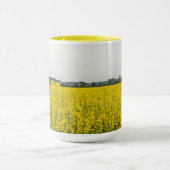 Raapzaad Mok (Midden)