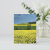 Raapzaadveld nabij Bavenhausen, Duitsland Briefkaart (Staand voorkant)