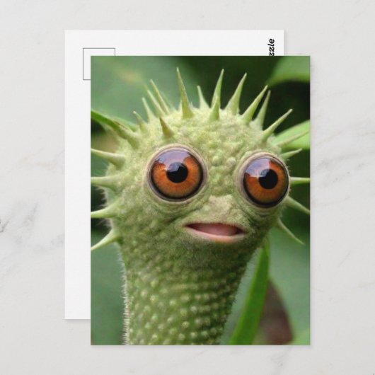 Raar grappig groen wezen briefkaart (Voorkant / Achterkant)
