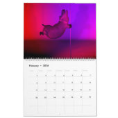 Raar Grappig Nijlpaarden 2025 Kalender (Feb 2026)