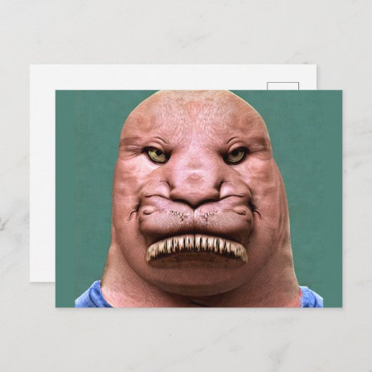 Raar Mr Walrus Briefkaart (Voorkant / Achterkant)