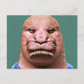 Raar Mr Walrus Briefkaart (Voorkant)