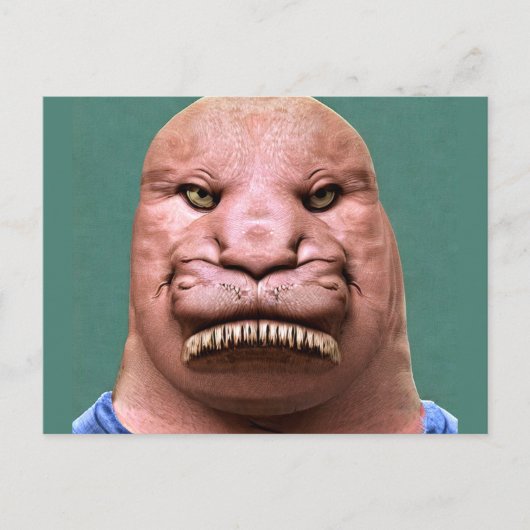 Raar Mr Walrus Briefkaart (Voorkant)