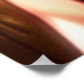 RaarEgypte 11 Poster (Hoek)