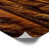 RaarEgypte 6 Poster (Hoek)