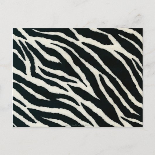 RAB Rockabilly Zebra Print Black & White Briefkaart (Voorkant)