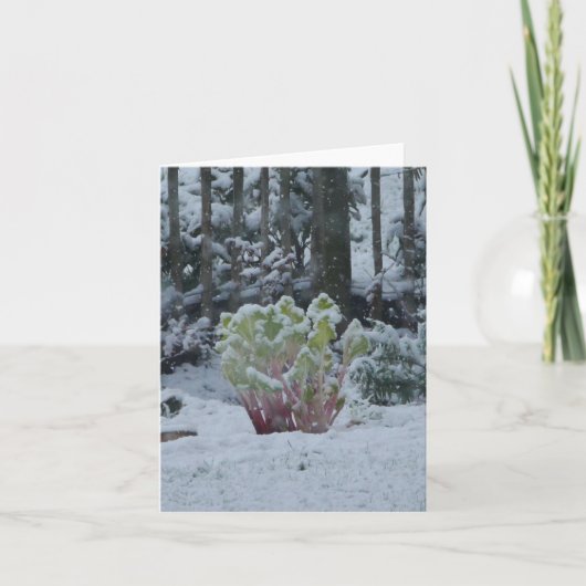 Rabarber in Sneeuwkaart Kaart (Voorkant)