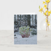 Rabarber in Sneeuwkaart Kaart (Gele Bloem)
