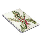 Rabarber Snijbiet 1992 Notitieboek (Rechterzijde)