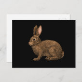 Rabbit 2 briefkaart (Voorkant / Achterkant)