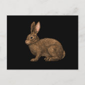 Rabbit 2 briefkaart (Voorkant)