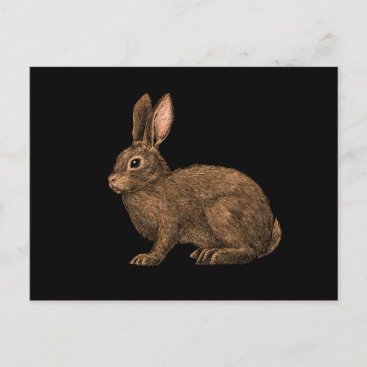 Rabbit 2 briefkaart (Voorkant)