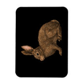 Rabbit 2 magneet (Verticaal)