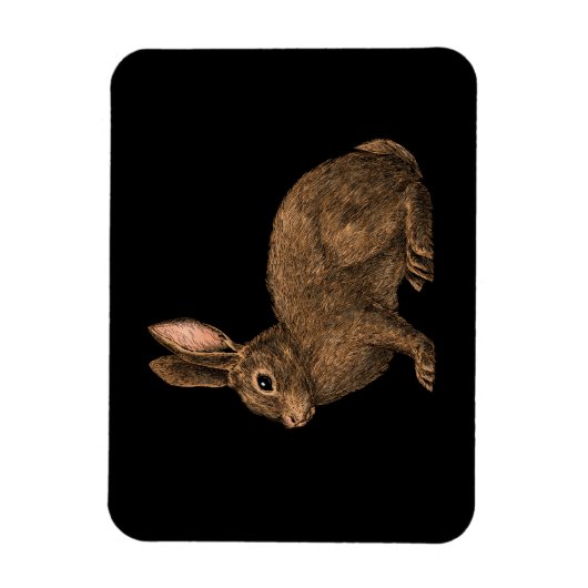 Rabbit 2 magneet (Verticaal)