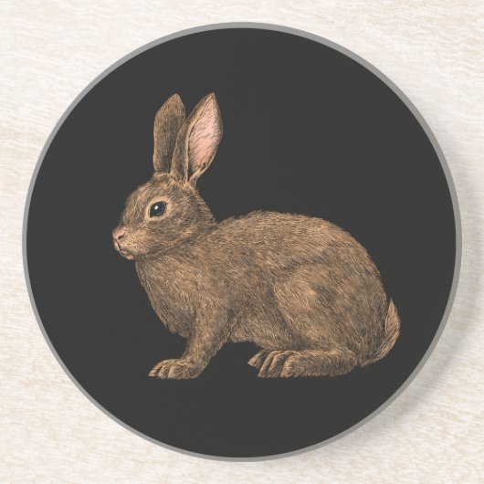 Rabbit 2 zandsteen onderzetter (Voorkant)