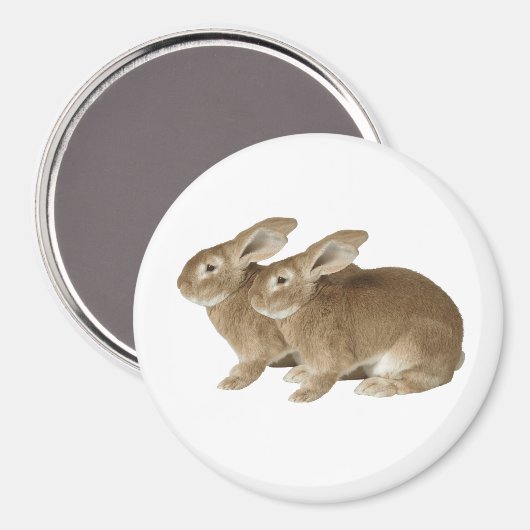 Rabbit afbeelding for Large Round Magnet (Voorkant / Achterkant)