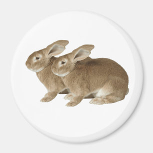 Rabbit afbeelding for Large Round Magnet